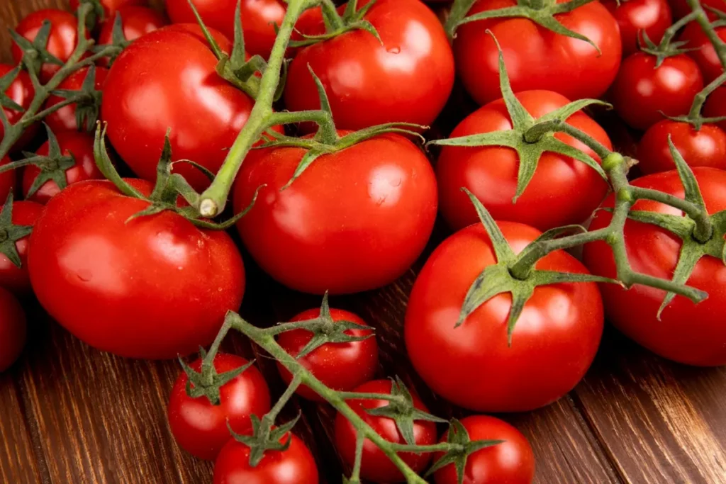 Choroby pomidorów pod koniec lata