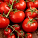 Bagna zaczęły produkować rtęć – Jakie są tego przyczyny?