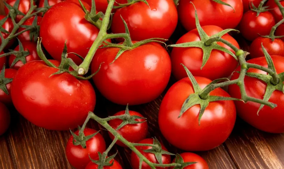 Choroby pomidorów pod koniec lata