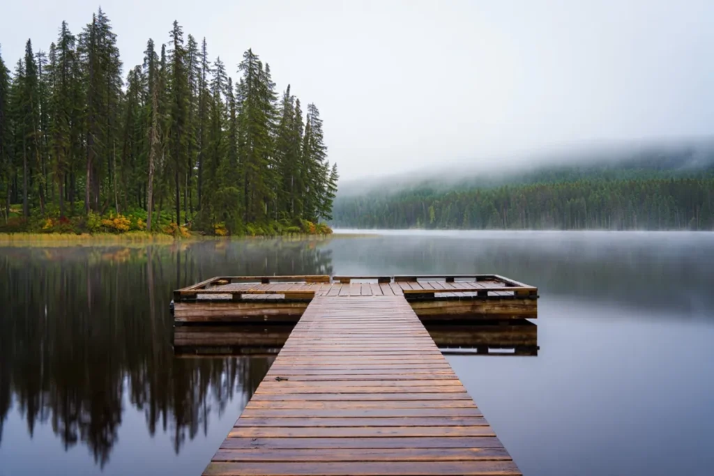 dlaczego bagna zaczęły produkować rtęć