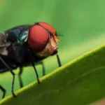 Pogoda w Polsce we wrześniu: prognoza, temperatury i opady