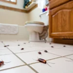 Zwalczanie szkodników drewna w kościele – Jakie istnieją metody?